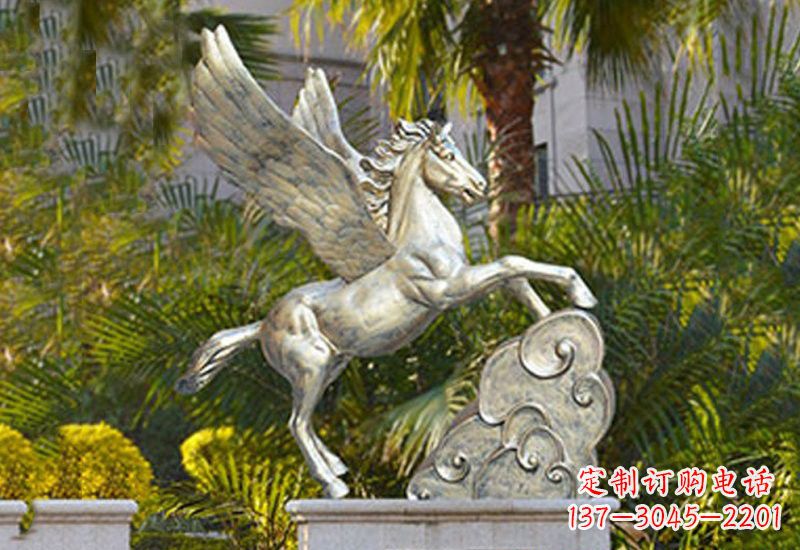 深圳该景区。