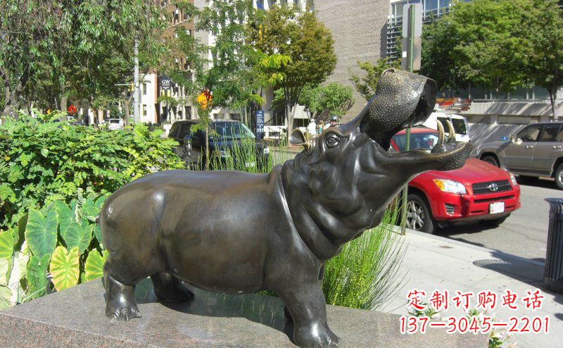 深圳街边河马景观铜雕