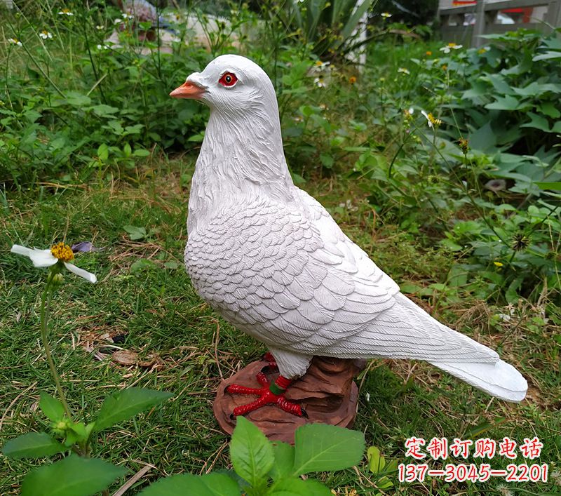 深圳为和平献芳礼：精美少女与和平鸽雕塑