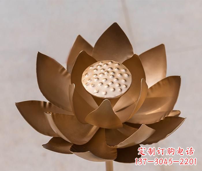 深圳铜雕景观荷花